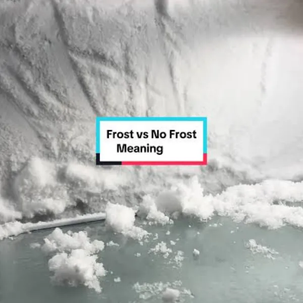 Frost i No Frost frižideri razlike — debele naslage leda u zamrzivaču statičkog frižidera